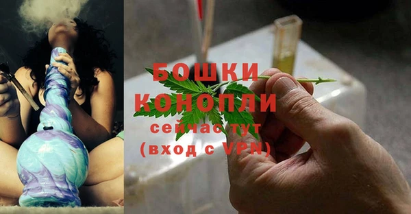 ПСИЛОЦИБИНОВЫЕ ГРИБЫ Лиски