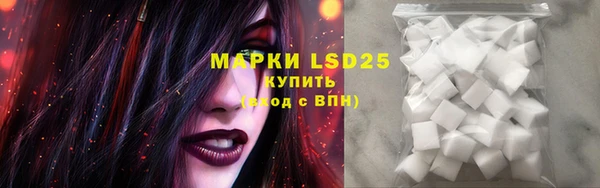 PSILOCYBIN Липки