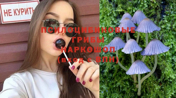 ПСИЛОЦИБИНОВЫЕ ГРИБЫ Лиски