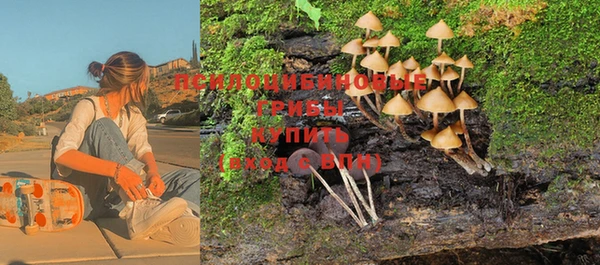 тгк Лихославль