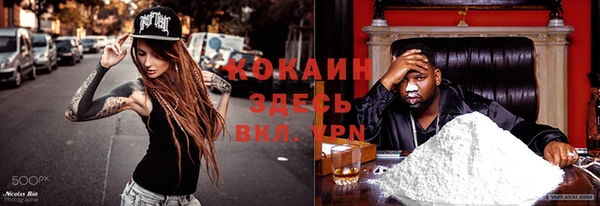 сатива Чита