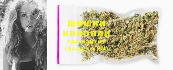 PSILOCYBIN Липки