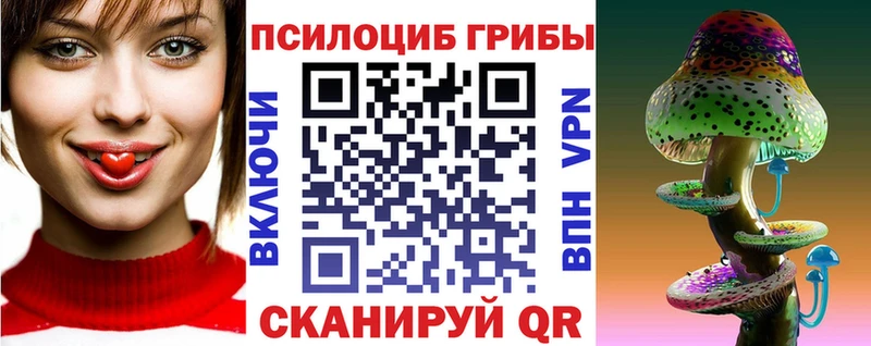 Купить закладки Мглин Псилоцибиновые грибы Psilocybine cubensis